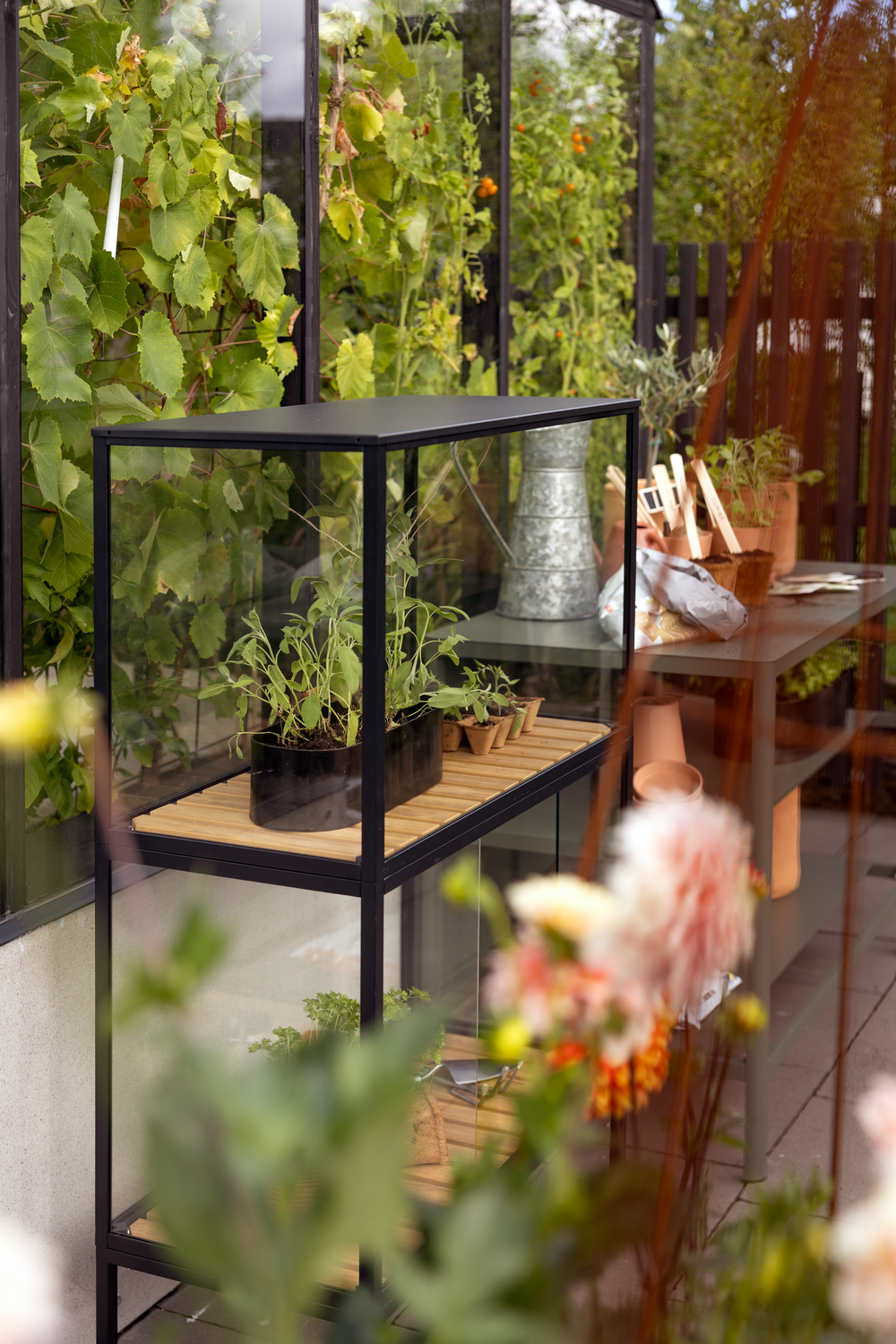 Grower Greens Planteskap Svart