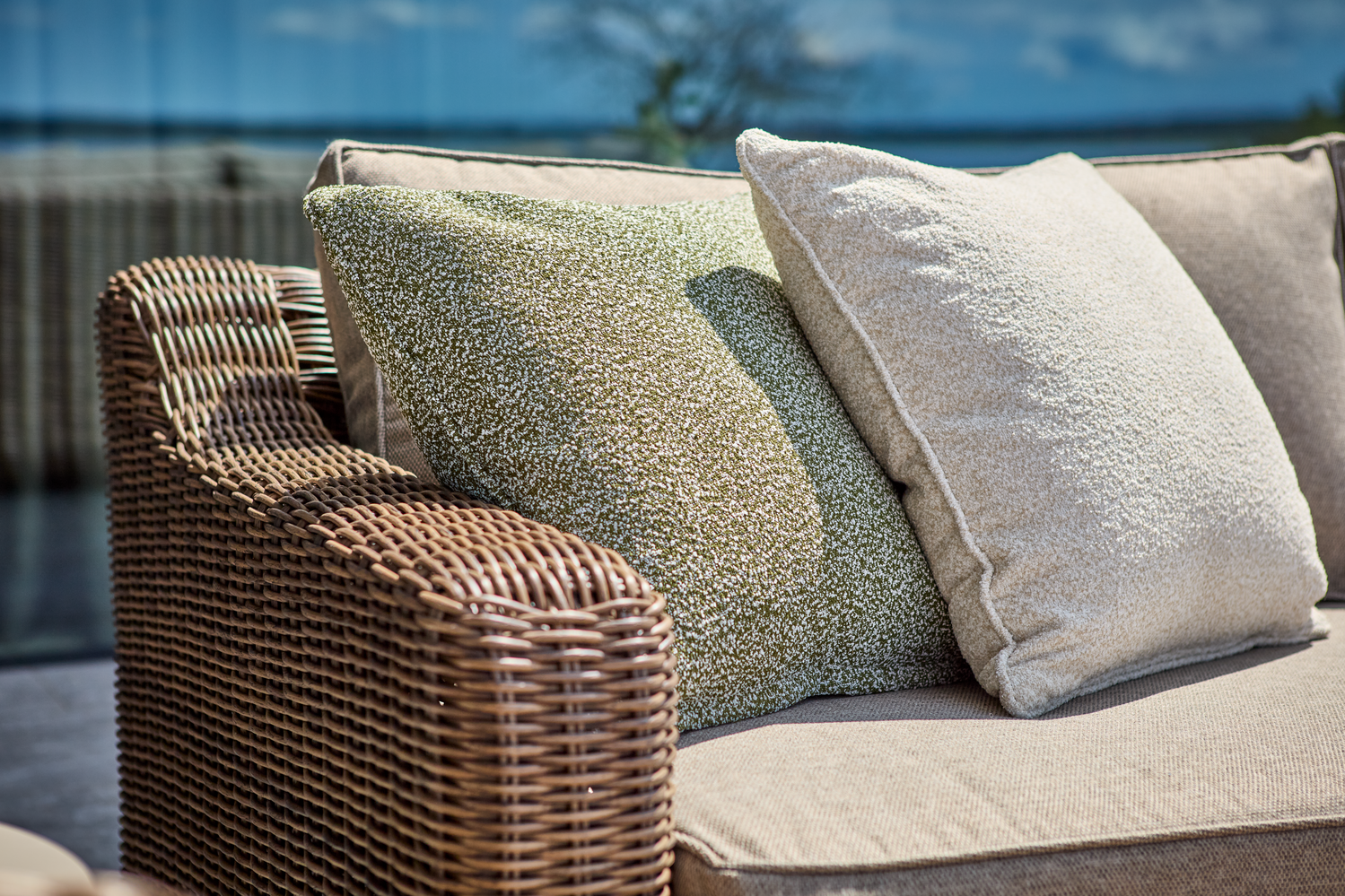 Teddy pute Teddy Rice