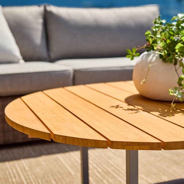 Olive_1 1920x800.jpg