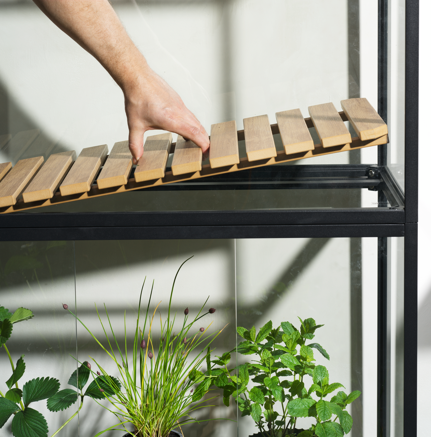 Grower Greens Planteskap Svart