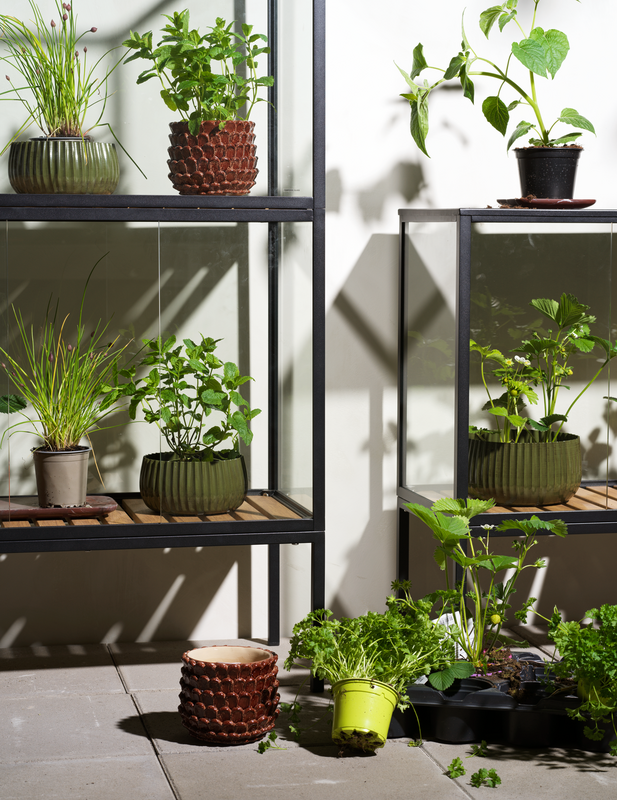 Grower Greens Planteskap Svart