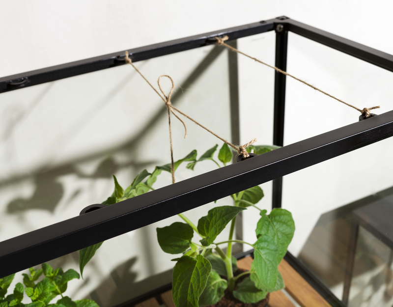 Grower Greens Planteskap Svart