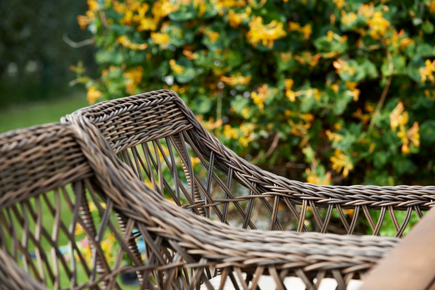 Beatrice stol med armlener Brun/beige